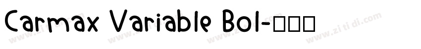 Carmax Variable Bol字体转换